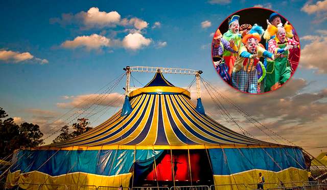 La temporada circense está a nada de comenzar por lo que shows asombrarán a las familias. Conoce aquí los grandes descuentos gracias a Cuponidad.