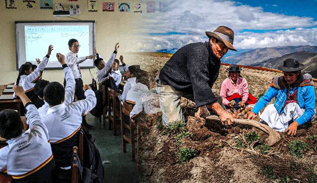 El 24 de junio se celebra el Día del Campesino. Foto: Gerson Cardoso/LR/difusión