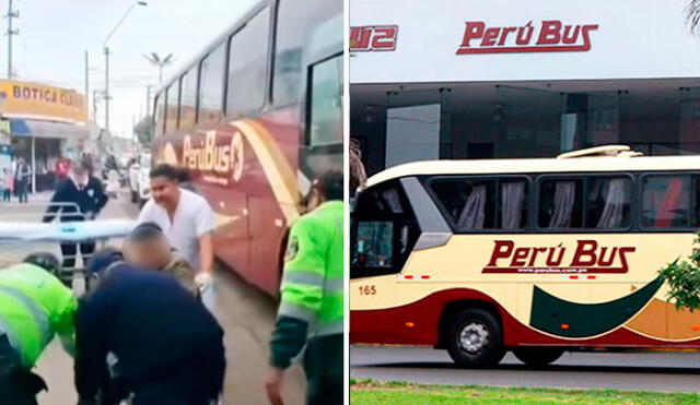 El chofer de Perú Bus no dudó en trasladar al pasajero a un centro de salud en Chincha. Foto: composición LR/ TikTok/ @pisco.te.informa El chofer de Perú Bus no dudó en trasladar al pasajero a un centro de salud en Chincha. Foto: composición LR/ TikTok/ @pisco.te.informa