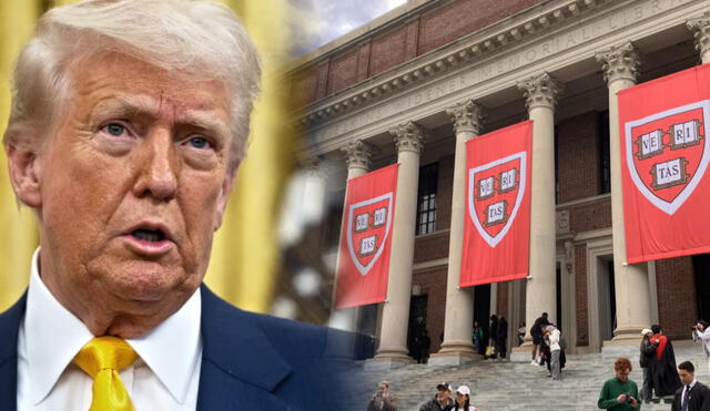La medida de Donald Trump amenazaba a estudiantes extranjeros en Harvard con perder su estatus migratorio. La medida de Donald Trump amenazaba a estudiantes extranjeros en Harvard con perder su estatus migratorio.