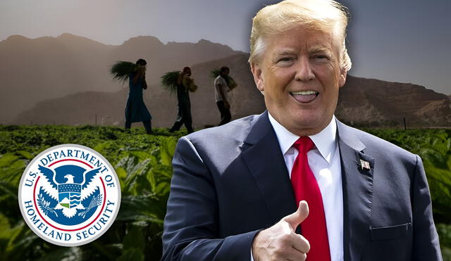 Donald Trump elogió a los inmigrantes agrícolas por su importancia en la economía de EE. UU. y sugiriendo una revisión de las redadas del ICE. Donald Trump elogió a los inmigrantes agrícolas por su importancia en la economía de EE. UU. y sugiriendo una revisión de las redadas del ICE.