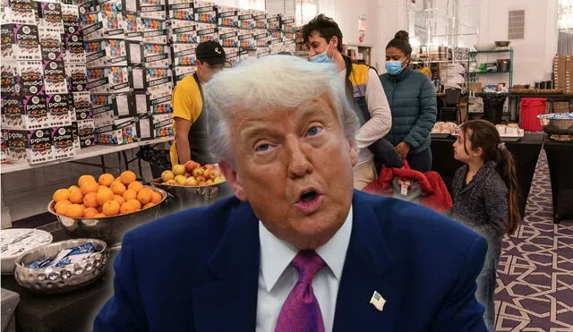 El Gobierno de Donald Trump no podrá perjudicar el programa SNAP para inmigrantes. El Gobierno de Donald Trump no podrá perjudicar el programa SNAP para inmigrantes.