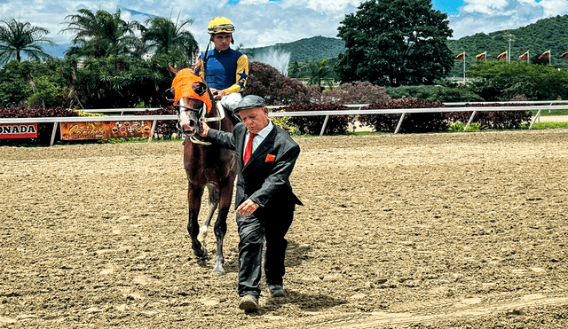 El 5y6 de La Rinconada paga mejores montos en favor de los cuadros con 6 aciertos. Foto: INH El 5y6 de La Rinconada paga mejores montos en favor de los cuadros con 6 aciertos. Foto: INH