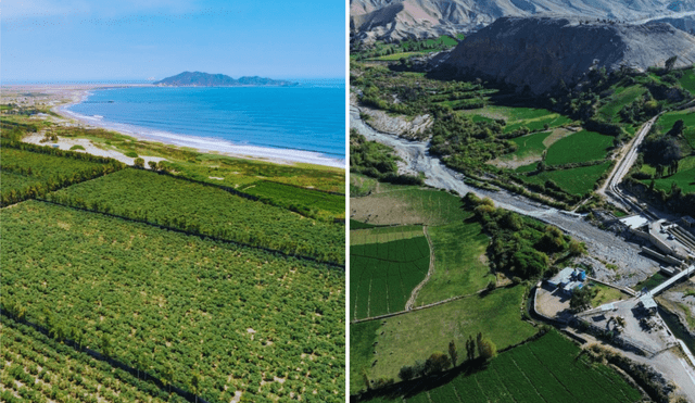 El Midagri impulsa el destrabe de 4 proyectos de irrigación para fomentar las agroexportaciones. El Midagri impulsa el destrabe de 4 proyectos de irrigación para fomentar las agroexportaciones.