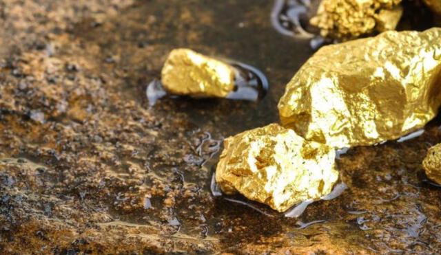 Granjera pierde sus terrenos tras hallazgo de yacimiento de oro en Francia. Foto: Minera La Cantera Granjera pierde sus terrenos tras hallazgo de yacimiento de oro en Francia. Foto: Minera La Cantera