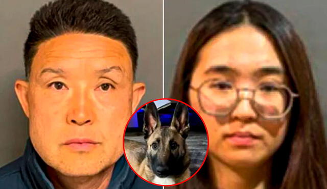 Un entrenador de perros junto a su pareja son acusados de asesinar 10 cachorros en California. Un entrenador de perros junto a su pareja son acusados de asesinar 10 cachorros en California.