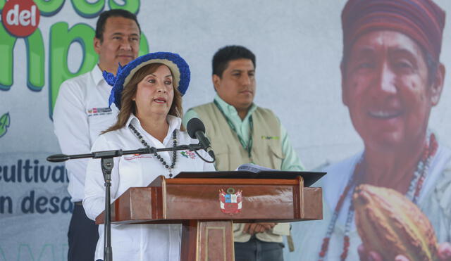 Investigada y blindada. Ninguna denuncia constitucional contra Dina Boluarte ha prosperado hasta el momento en el Congreso. Foto: Presidencia Investigada y blindada. Ninguna denuncia constitucional contra Dina Boluarte ha prosperado hasta el momento en el Congreso. Foto: Presidencia