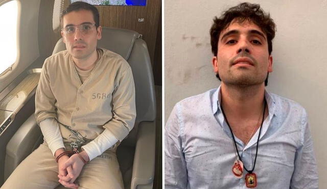 Ovidio Guzmán se declarará culpable frente a la justicia estadounidense. Ovidio Guzmán se declarará culpable frente a la justicia estadounidense.