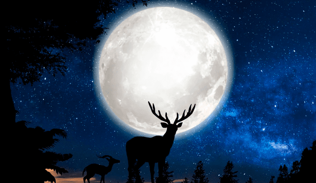 La "Superluna de ciervo" será el evento astronómico más importante de julio. Foto: Pixabay La "Superluna de ciervo" será el evento astronómico más importante de julio. Foto: Pixabay