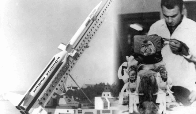 El mono Juan, viajó sedado en una cápsula hecha a su medida y fue ubicado en la punta del cohete. Foto: Composición LR/LN El mono Juan, viajó sedado en una cápsula hecha a su medida y fue ubicado en la punta del cohete. Foto: Composición LR/LN