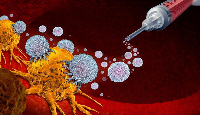 La ciencia explora cómo el horario del día influye en la eficacia de la inmunoterapia, marcando un posible avance en el tratamiento personalizado del cáncer. Foto: Depositphotos La ciencia explora cómo el horario del día influye en la eficacia de la inmunoterapia, marcando un posible avance en el tratamiento personalizado del cáncer. Foto: Depositphotos