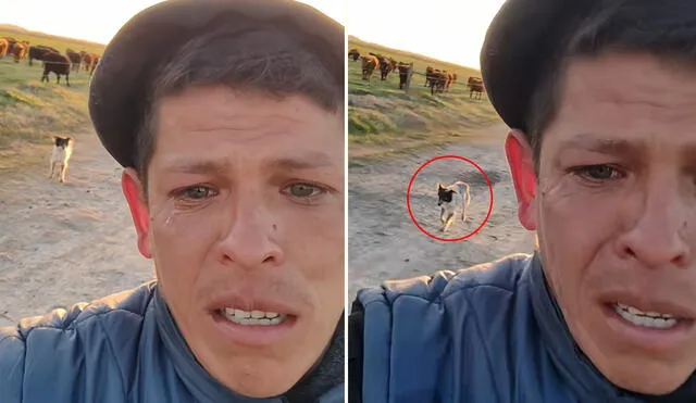 Trabajador logró conseguir el apoyo de dos abogados tras repentino despido que se viralizó en TikTok. Trabajador logró conseguir el apoyo de dos abogados tras repentino despido que se viralizó en TikTok.