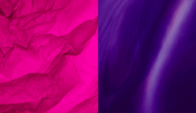 La confusión entre los colores fucsia y violeta suele ser por desconocimiento y la influencia de la luz. La confusión entre los colores fucsia y violeta suele ser por desconocimiento y la influencia de la luz.