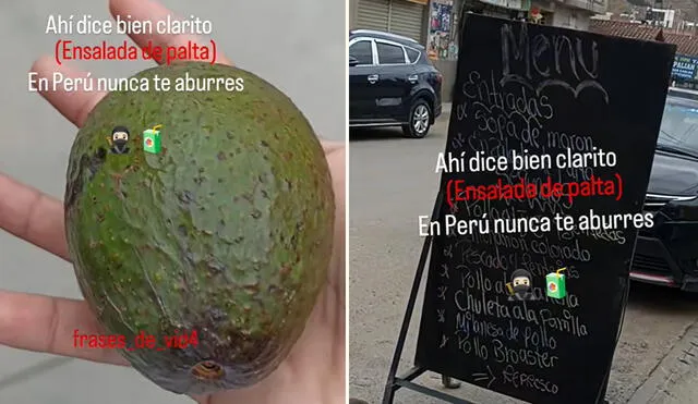 "Ahora así dan las ensaladas", bromeó joven peruano en TikTok tras recibir una palta entera.