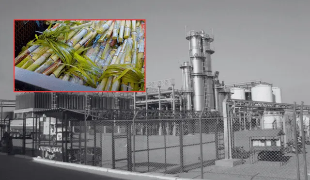 El etanol se posiciona como una alternativa estratégica para la descarbonización en Perú. Foto: Andina/Perú Caña El etanol se posiciona como una alternativa estratégica para la descarbonización en Perú. Foto: Andina/Perú Caña