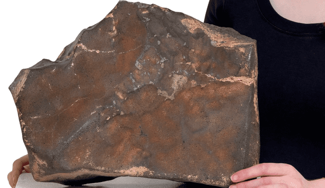 Sotheby's subastará un meteorito marciano, considerado el más grande encontrado en la Tierra. Foto: Sotheby's Sotheby's subastará un meteorito marciano, considerado el más grande encontrado en la Tierra. Foto: Sotheby's