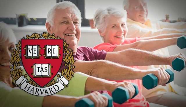 Harvard recomienda artes marciales para mayores de 60 años por sus beneficios físicos y mentales. Foto: composición LR/Freepik Harvard recomienda artes marciales para mayores de 60 años por sus beneficios físicos y mentales. Foto: composición LR/Freepik