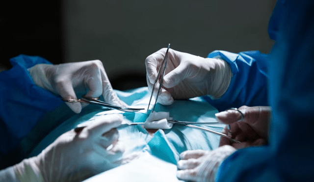 Este cambio responde a una iniciativa de la ONT, respaldada por el Ministerio de Sanidad. Foto: Freepik Este cambio responde a una iniciativa de la ONT, respaldada por el Ministerio de Sanidad. Foto: Freepik