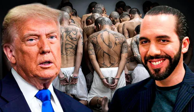 Inmigrantes deportados de Estados Unidos a El Salvador serán responsabilidad de Donald Trump. Inmigrantes deportados de Estados Unidos a El Salvador serán responsabilidad de Donald Trump.