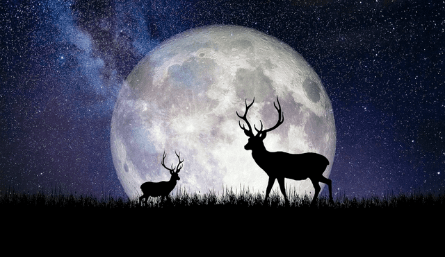 La Luna del Ciervo en julio brillará con un color distinto a su habitual tonalidad plateada. Foto: Istock