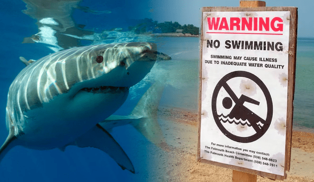 Tiburones fueron vistos en Nueva York, por lo que se tuvo que cerrar playas. Tiburones fueron vistos en Nueva York, por lo que se tuvo que cerrar playas.