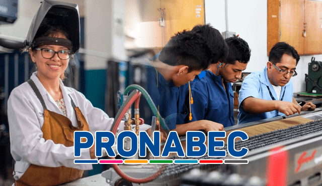 Pronabec detalla que 30 becas TEC son para auxiliar técnico, 90 para técnico y 180 para profesionales técnicos. Pronabec detalla que 30 becas TEC son para auxiliar técnico, 90 para técnico y 180 para profesionales técnicos.