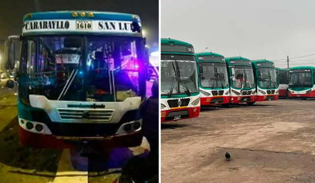 Tras el reciente ataque, los transportistas exigen "mano dura" del Gobierno frente a esta situación. Foto: Composición LR Tras el reciente ataque, los transportistas exigen "mano dura" del Gobierno frente a esta situación. Foto: Composición LR