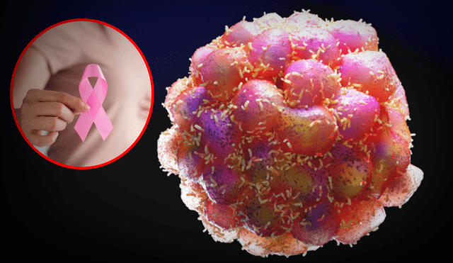 Investigadores del Hospital del Mar y GEICAM identifican la proteína TIM-3 como clave en el origen de la metástasis del cáncer de mama, según un estudio en Cancer Cell. Foto: composición LR/Freepik Investigadores del Hospital del Mar y GEICAM identifican la proteína TIM-3 como clave en el origen de la metástasis del cáncer de mama, según un estudio en Cancer Cell. Foto: composición LR/Freepik