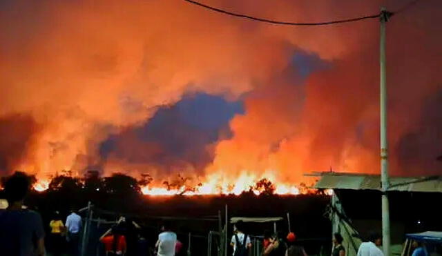 Un gran incendio forestal en Manantay genera humo denso y alarma a vecinos. Foto: LR