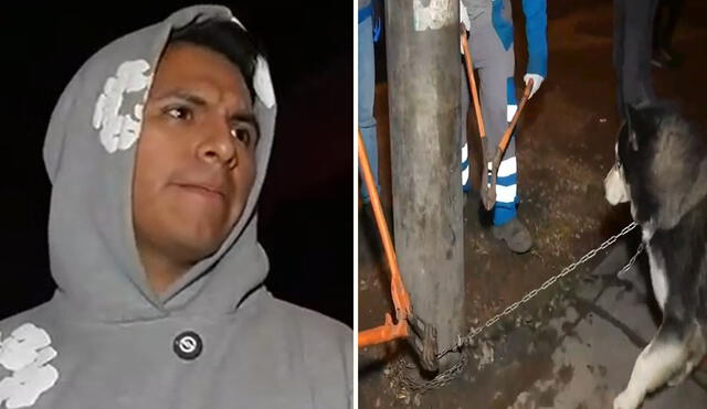 “Gracias por ayudarlo”, reaccionaron usuarios tras liberación del can en Ate.