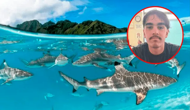 Darcy Deefholts fue rescatado tras pasar 18 horas desaparecido en mar abierto. Sobrevivió gracias a su tabla. Darcy Deefholts fue rescatado tras pasar 18 horas desaparecido en mar abierto. Sobrevivió gracias a su tabla.
