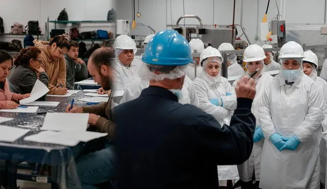 Los propietarios de Glenn Valley Foods aseguraron que verificaron los datos de los trabajadores. Los propietarios de Glenn Valley Foods aseguraron que verificaron los datos de los trabajadores.
