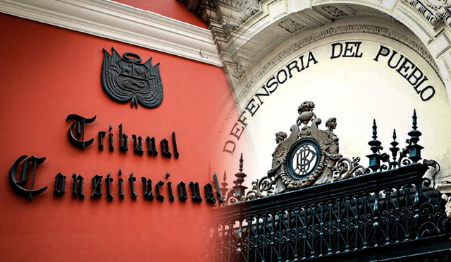 Tribunal Constitucional resolvió que la extensión de dominio rige a partir de 2018 | Foto: composición LR Tribunal Constitucional resolvió que la extensión de dominio rige a partir de 2018 | Foto: composición LR