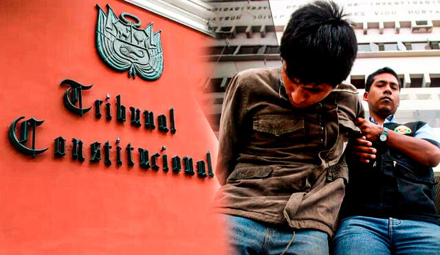Tribunal Constitucional determinará constitucionalidad de la Ley 32330. Tribunal Constitucional determinará constitucionalidad de la Ley 32330.
