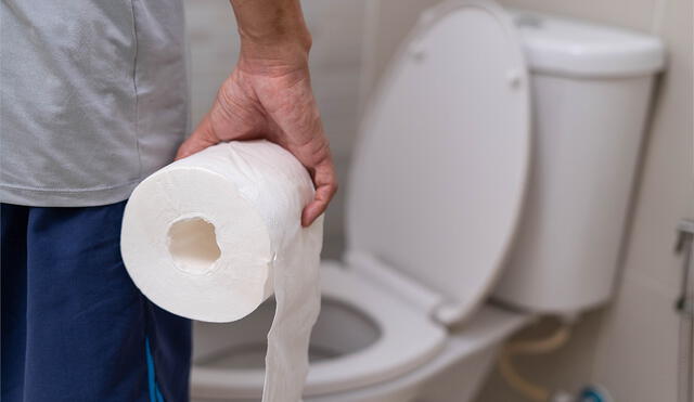 Una tecnología más cómoda y ecológica podría reemplazar el uso del papel higiénico en los baños. Foto: Veectezy Una tecnología más cómoda y ecológica podría reemplazar el uso del papel higiénico en los baños. Foto: Veectezy