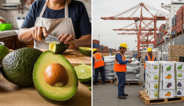 La palta peruana, llamada como el 'oro verde', lidera las exportaciones agrarias del Perú. La palta peruana, llamada como el 'oro verde', lidera las exportaciones agrarias del Perú.