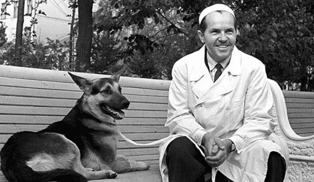 Vladimir Demikhov fue un científico pionero en el trasplante de órganos, pero inició sus experimentos con animales. Foto: Sputnik Vladimir Demikhov fue un científico pionero en el trasplante de órganos, pero inició sus experimentos con animales. Foto: Sputnik