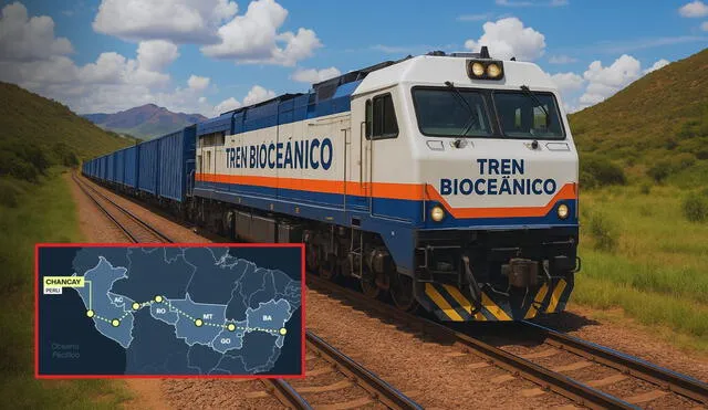 Expertos revelan los beneficios que tendría el Perú con el Tren Bioceánico Expertos revelan los beneficios que tendría el Perú con el Tren Bioceánico