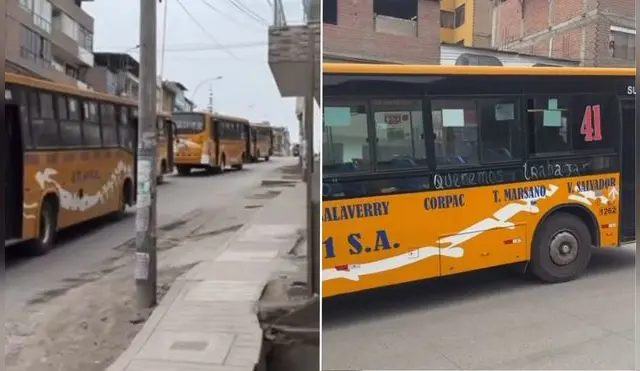 Transportistas de Lima Norte se suman a manifestación contra la extorsión. Foto: captura Tiktok.   