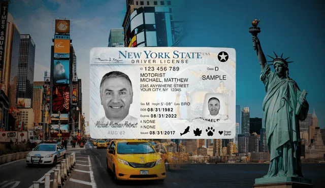 Starting May 7, 2025, New York residents must have a REAL ID or Enhanced ID for domestic flights and federal facility access. Photo: LR composition