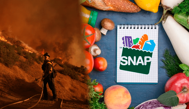 Discover how California’s SNAP and CalFresh programs are helping residents impacted by wildfires. Learn about replacement benefits, hot food access, and key deadlines. Photo: LR composition/AFP