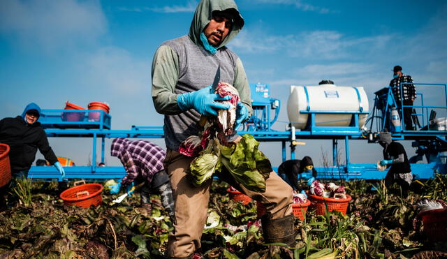 Mass deportations and immigration raids in California are causing worker shortages and impacting businesses. Photo: The New York Times.