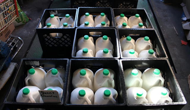 Dairy shelves remain stocked as FDA halts milk quality testing, sparking debate over food safety and federal oversight. Photo: John Hageman / Forum News Service file photo