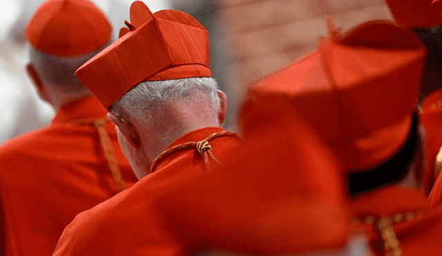 Vatican cardinals enjoy significant financial benefits, including a monthly stipend ranging from €4,000 to €5,000. Photo: CBCP News Vatican cardinals enjoy significant financial benefits, including a monthly stipend ranging from €4,000 to €5,000. Photo: CBCP News