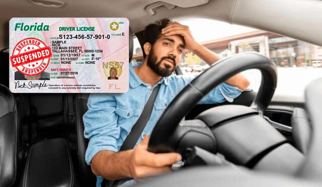 Learn what actions FLHSMV can take, why child support is crucial, and how to avoid penalties and ensure your right to drive remains intact in Florida. Photo: GLR composition/FLHSMV Learn what actions FLHSMV can take, why child support is crucial, and how to avoid penalties and ensure your right to drive remains intact in Florida. Photo: GLR composition/FLHSMV