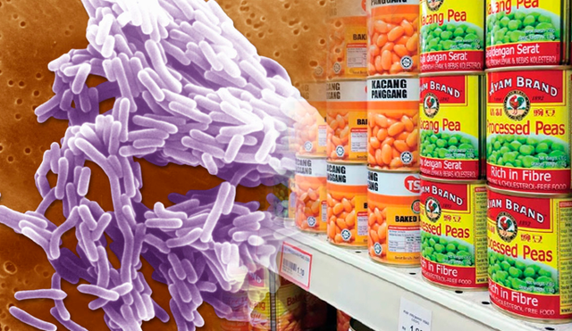 The contamination, discovered in 2024 but recently revisited, stems from Fresh & Ready Foods, with Listeria monocytogenes responsible for the infections. Photo: GLR composition/PBS The contamination, discovered in 2024 but recently revisited, stems from Fresh & Ready Foods, with Listeria monocytogenes responsible for the infections. Photo: GLR composition/PBS