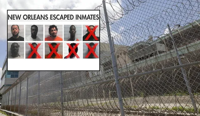 Police arrest four suspects accused of helping inmates escape from New Orleans Jail, as the manhunt for remaining fugitives intensifies. Photo: GLR News Composition/Fox News/X Police arrest four suspects accused of helping inmates escape from New Orleans Jail, as the manhunt for remaining fugitives intensifies. Photo: GLR News Composition/Fox News/X