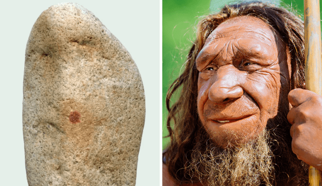 Researchers in Spain claim to have found evidence in a pebble that proves Neanderthals were capable of making art. Phot: GLR Composition/Sci.News/NBC News