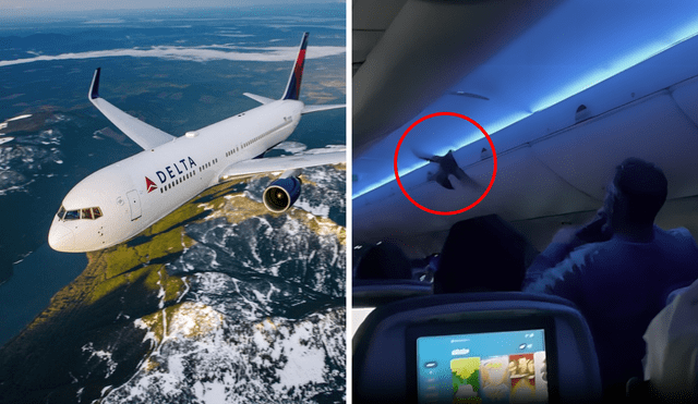 Two pigeons caused chaos on a Delta flight from Minneapolis to Wisconsin. Photo: GLR Composition/CNN/ABC News