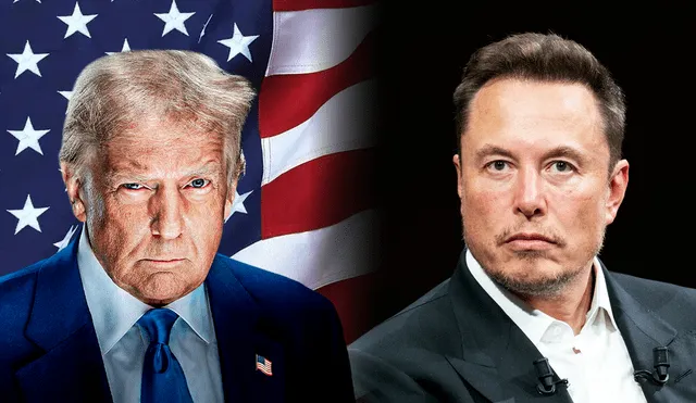 Elon Musk steps down from the Trump administration. Photo: GLR composition/ Federal Flags, France 24 & The Conversation Elon Musk steps down from the Trump administration. Photo: GLR composition/ Federal Flags, France 24 & The Conversation